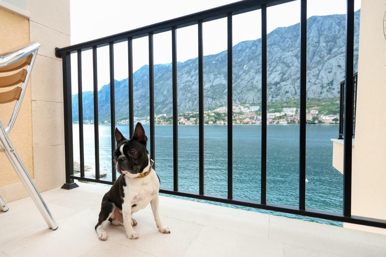 Apartments Rozer Kotor Luaran gambar